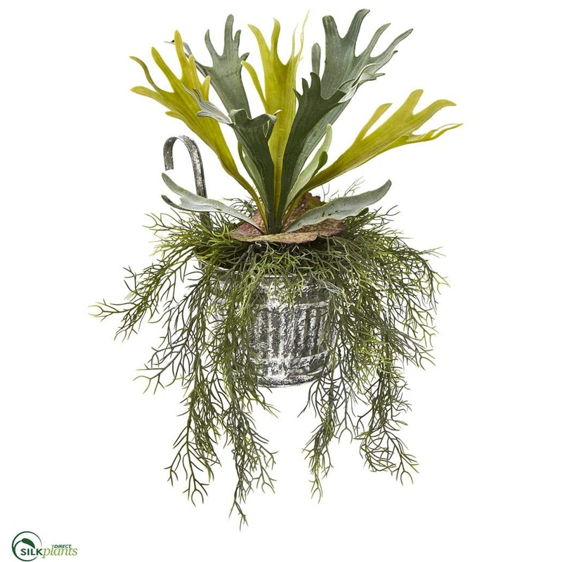 Silk Plants Direct Staghorn and Tillandsia Artificial Plant – Pack of 1 Default Title
