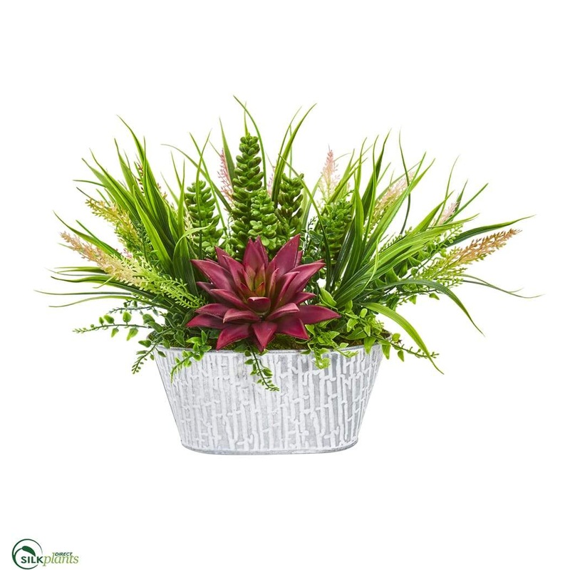Silk Plants Direct Succulent and Grass Artificial Plant – Pack of 1 Default Title