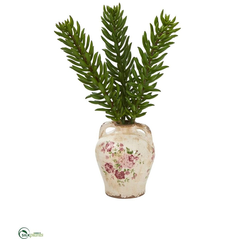 Silk Plants Direct Succulent Artificial Plant – Pack of 1 Default Title