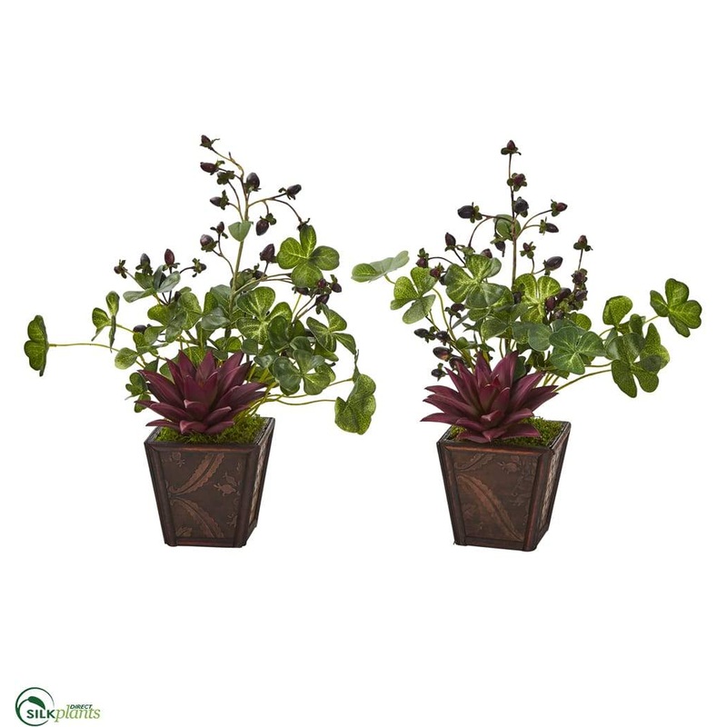 Silk Plants Direct Succulent, Clover and Coffee Leaf Artificial Plant in Decorative Planter – Pack of 2 Default Title