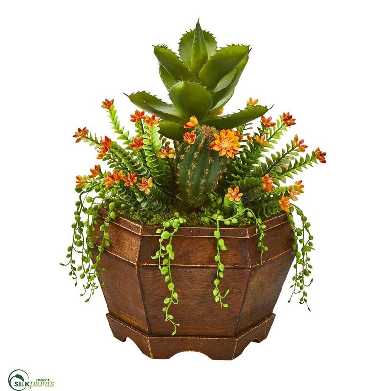 Silk Plants Direct Succulent Garden Artificial Plant – Pack of 1 Default Title