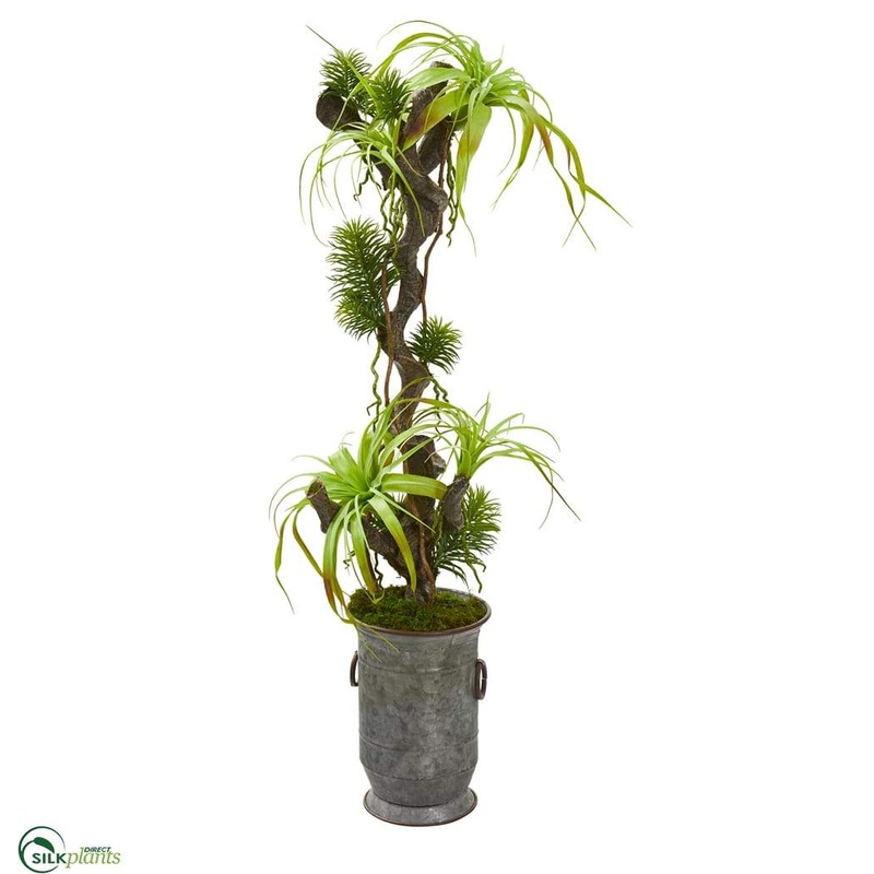 Silk Plants Direct Tillandsia Artificial Plant – Pack of 1 Default Title