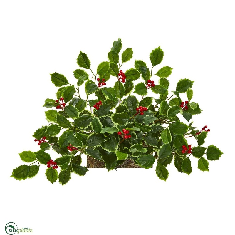 Silk Plants Direct Variegated Holly with Berries Artificial Ledge Plant – Pack of 1 Default Title