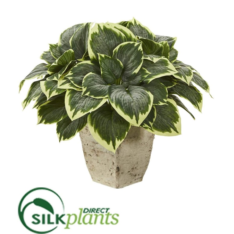 Silk Plants Direct Variegated Hosta Artificial Plant – Pack of 1 Default Title
