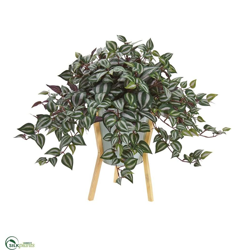 Silk Plants Direct Wandering Jew Artificial Plant – Pack of 1 Default Title