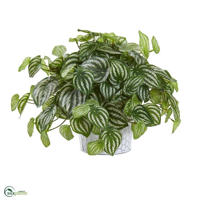 Silk Plants Direct Watermelon Peperomia Artificial Plant in Embossed White Planter – Pack of 1 Default Title