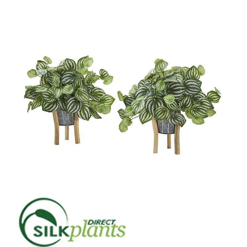 Silk Plants Direct Watermelon Peperomia Artificial Plant in Tin Planter with Legs – Pack of 2 Default Title