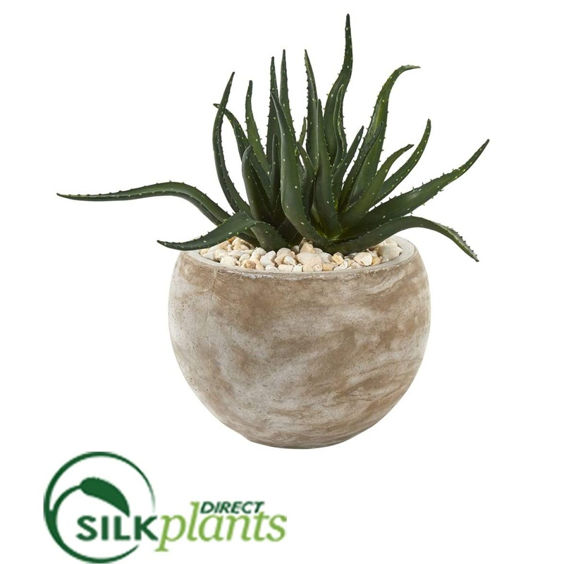 Silk Plants Direct Aloe Succulent Artificial Plant – Pack of 1 Default Title