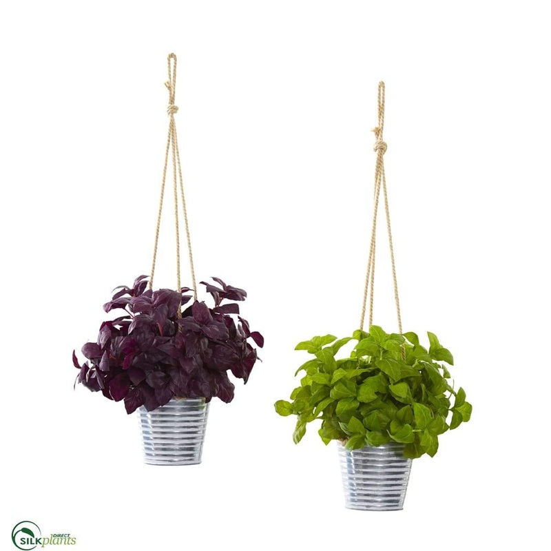 Silk Plants Direct Basil Artificial Plant in Hanging Bucket – Pack of 2 Default Title