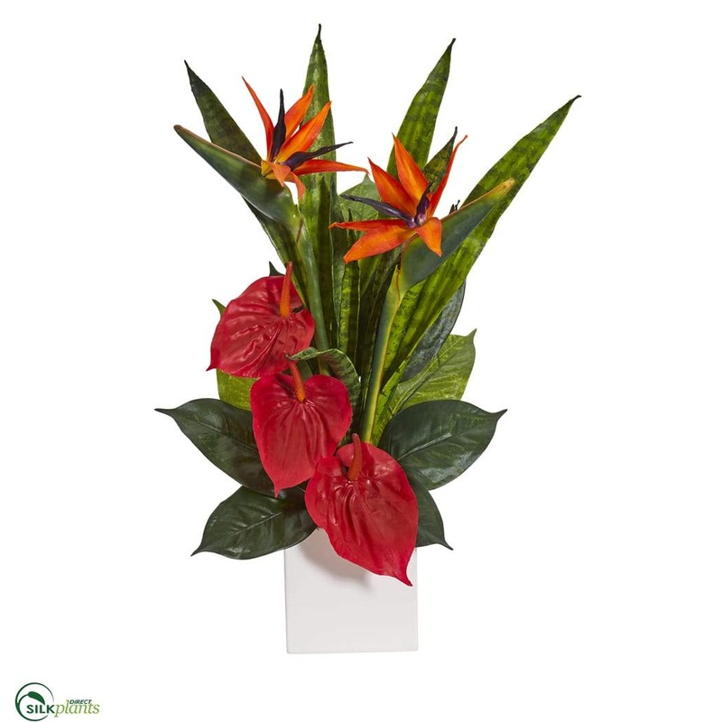 Silk Plants Direct Bird of Paradise, Anthurium and Sansevieria Artificial Plant – Pack of 1 Default Title
