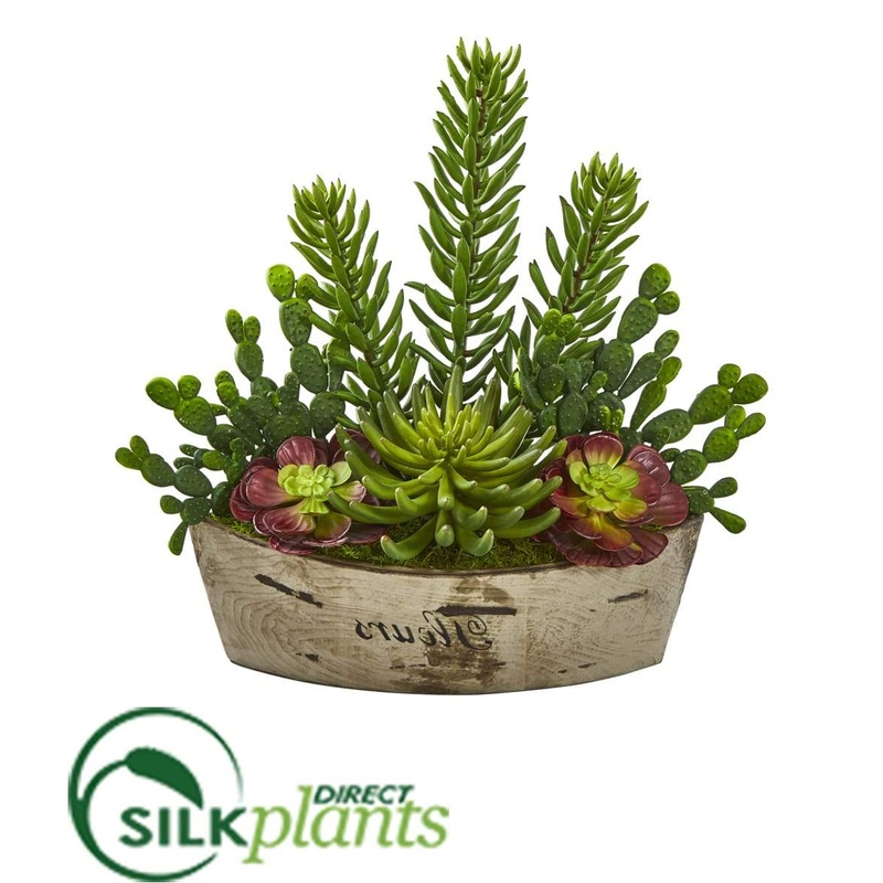 Silk Plants Direct Echeveria and Cactus Succulent Artificial Plant – Pack of 1 Default Title