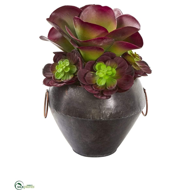 Silk Plants Direct Echeveria and Succulent Artificial Plant – Pack of 1 Default Title