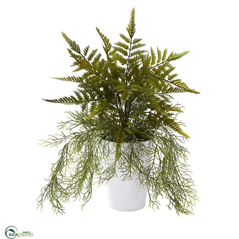 Silk Plants Direct Fern and Tillandsia Moss Artificial Plant – Pack of 1 Default Title