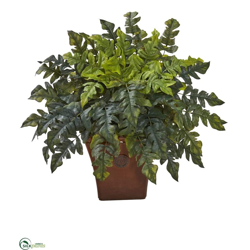 Silk Plants Direct Holly Fern Artificial Plant – Pack of 1 Default Title