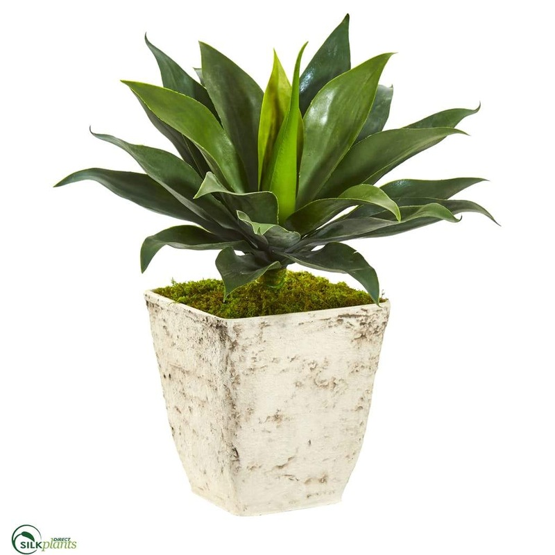 Silk Plants Direct Large Agave Artificial Plant – Pack of 1 Default Title