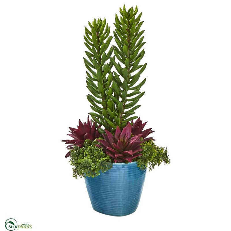 Silk Plants Direct Mix Succulent Artificial Plant – Pack of 1 Default Title