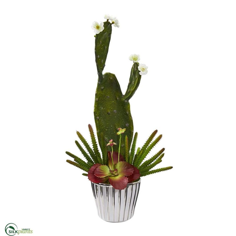Silk Plants Direct Mixed Cactus and Succulent Artificial Plant – Pack of 1 Default Title