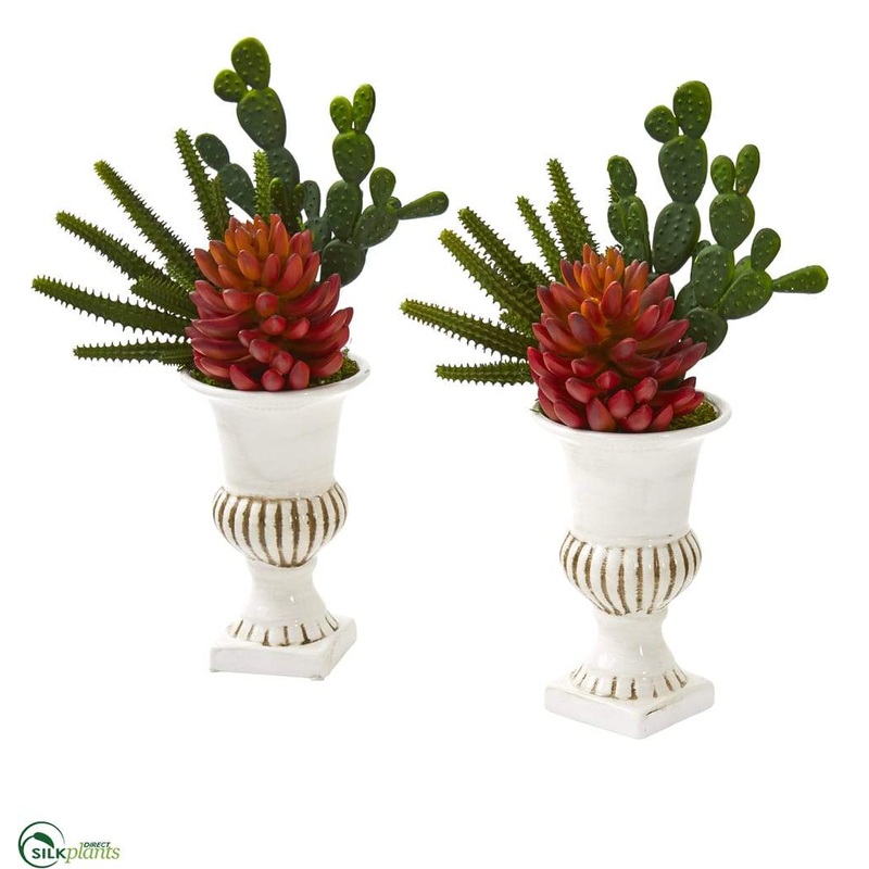 Silk Plants Direct Mixed Succulent Artificial Plant in White Urn – Pack of 2 Default Title