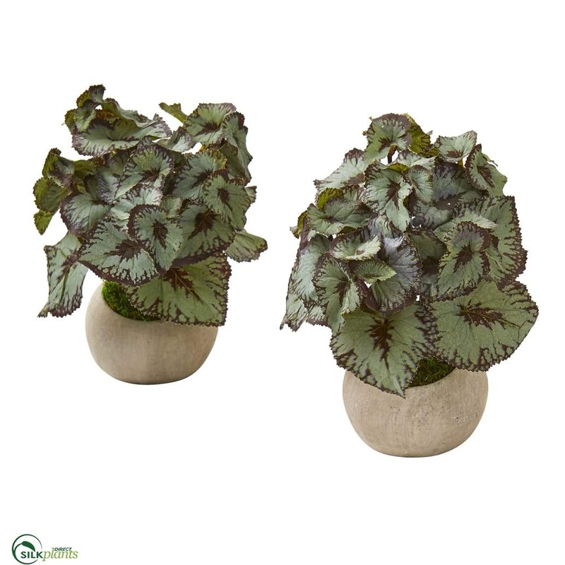 Silk Plants Direct Rex Begonia Artificial Plant in Stone Gray Planter – Pack of 2 Default Title