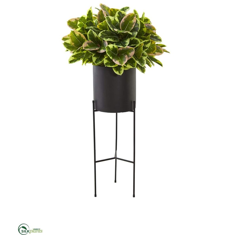 Silk Plants Direct Rubber Leaf Artificial Plant in Black Planter with Stand – Pack of 1 Default Title
