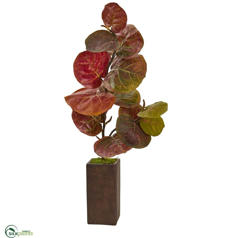 Silk Plants Direct Sea Grape Artificial Plant – Pack of 1 Default Title