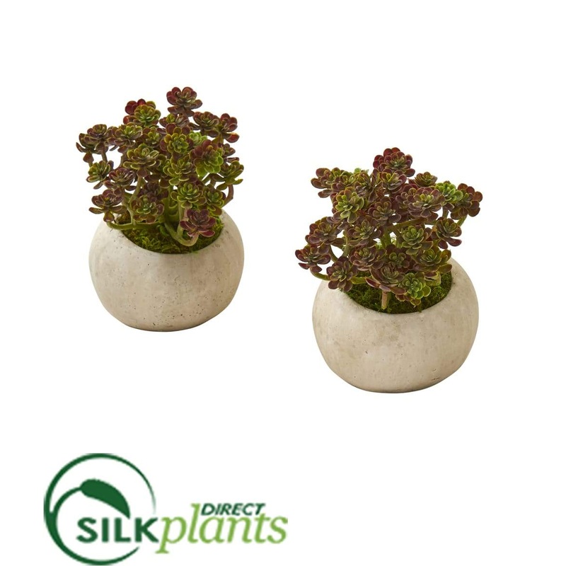 Silk Plants Direct Sedum Succulent Artificial Plant in Stone Planter – Pack of 2 Default Title