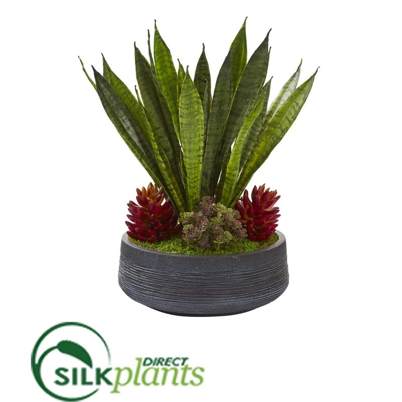 Silk Plants Direct Succulent and Sansevieria Artificial Plant – Pack of 1 Default Title