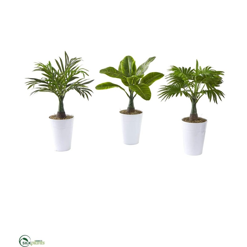 Silk Plants Direct Assorted Mini Palm and Banana Artificial Plant in White Planter – Pack of 3 Default Title