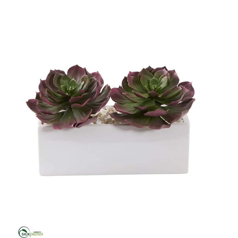 Silk Plants Direct Echeveria Succulent Artificial Plant – Pack of 1 Default Title