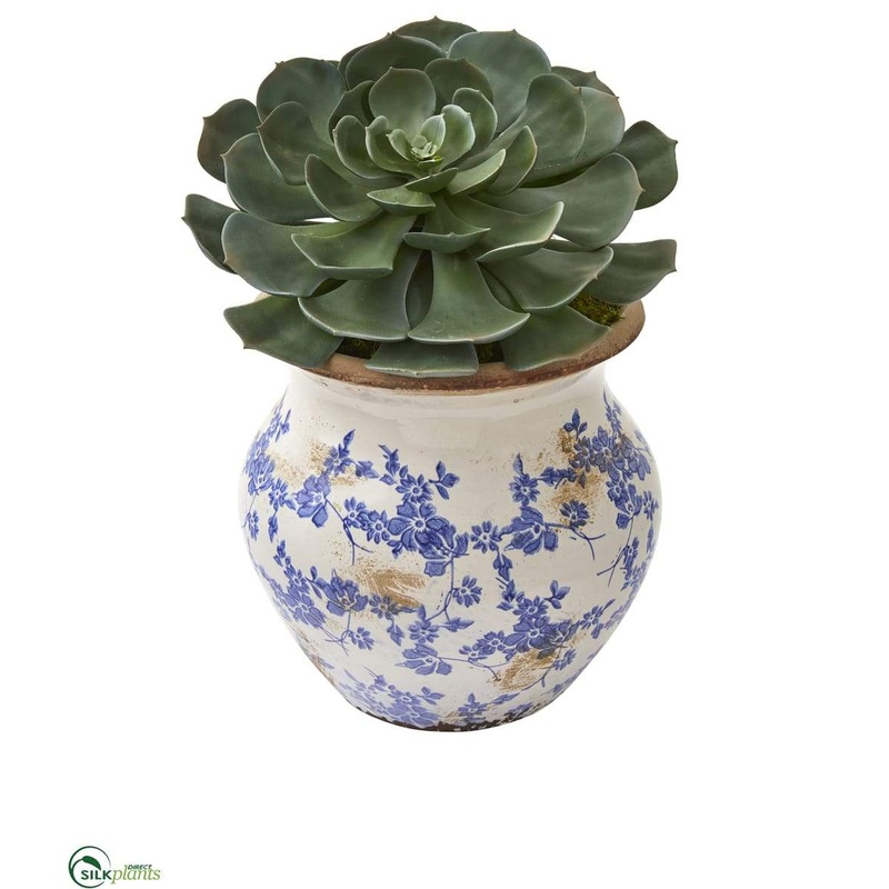 Silk Plants Direct Echeveria Succulent Pick Artificial Plant – Pack of 1 Default Title