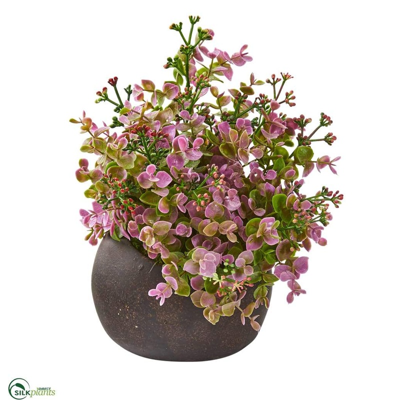 Silk Plants Direct Eucalyptus and Sedum Artificial Plant – Pack of 1 Default Title