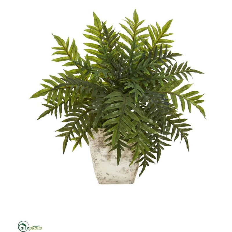 Silk Plants Direct Hares Foot Fern Artificial Plant in Country White Planter – Pack of 1 Default Title