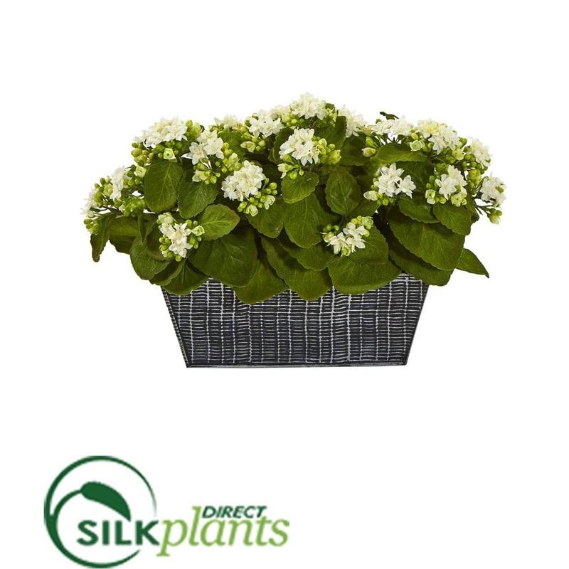 Silk Plants Direct Kalanchoe Artificial Plant – White – Pack of 1 White