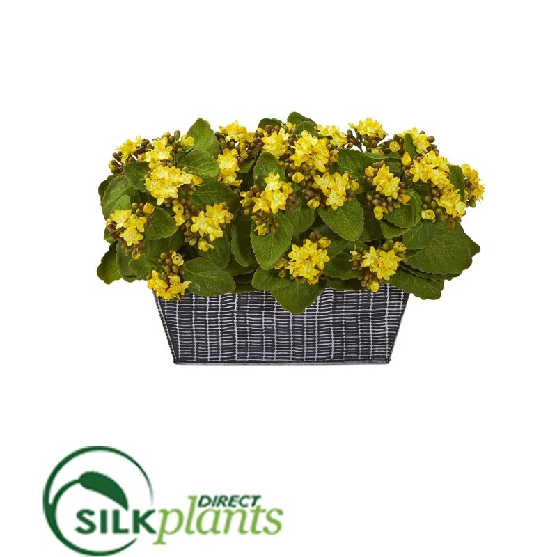 Silk Plants Direct Kalanchoe Artificial Plant – Yellow – Pack of 1 Yellow