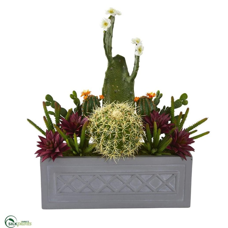 Silk Plants Direct Mixed Cactus Succulent Artificial Plant – Pack of 1 Default Title