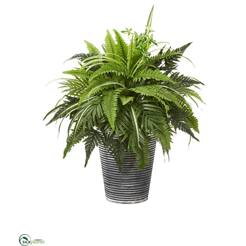 Silk Plants Direct Mixed Greens and Fern Artificial Plant – Pack of 1 Default Title