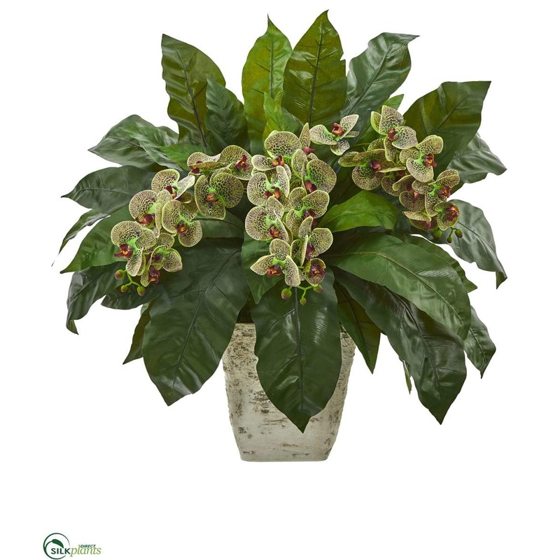 Silk Plants Direct Phalaenopsis Orchid and Birds Nest Fern Artificial Plant – Green Burgundy – Pack of 1 Green Burgundy