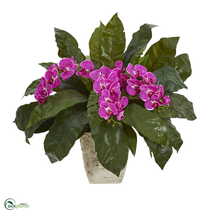 Silk Plants Direct Phalaenopsis Orchid and Birds Nest Fern Artificial Plant – Purple Cream – Pack of 1 Purple Cream