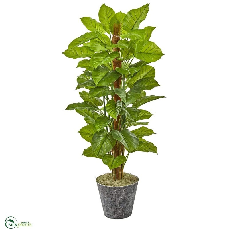 Silk Plants Direct Philodendron Artificial Plant in Black Embossed Planter – Pack of 1 Default Title