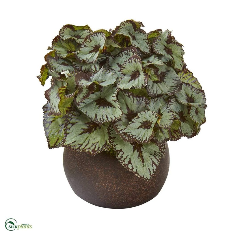 Silk Plants Direct Rex Begonia Artificial Plant – Pack of 1 Default Title