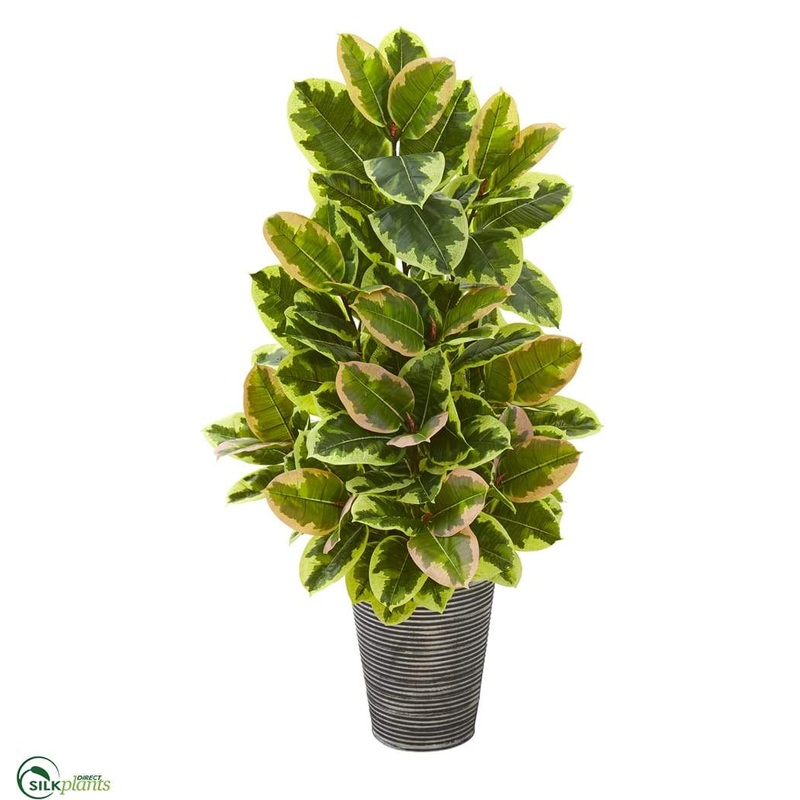 Silk Plants Direct Rubber Leaf Artificial Plant in Tin Planter with Black Pattern – Pack of 1 Default Title