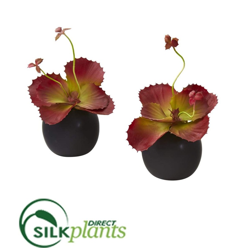Silk Plants Direct Succulent Artificial Plant in White Planter – Black – Pack of 2 Black