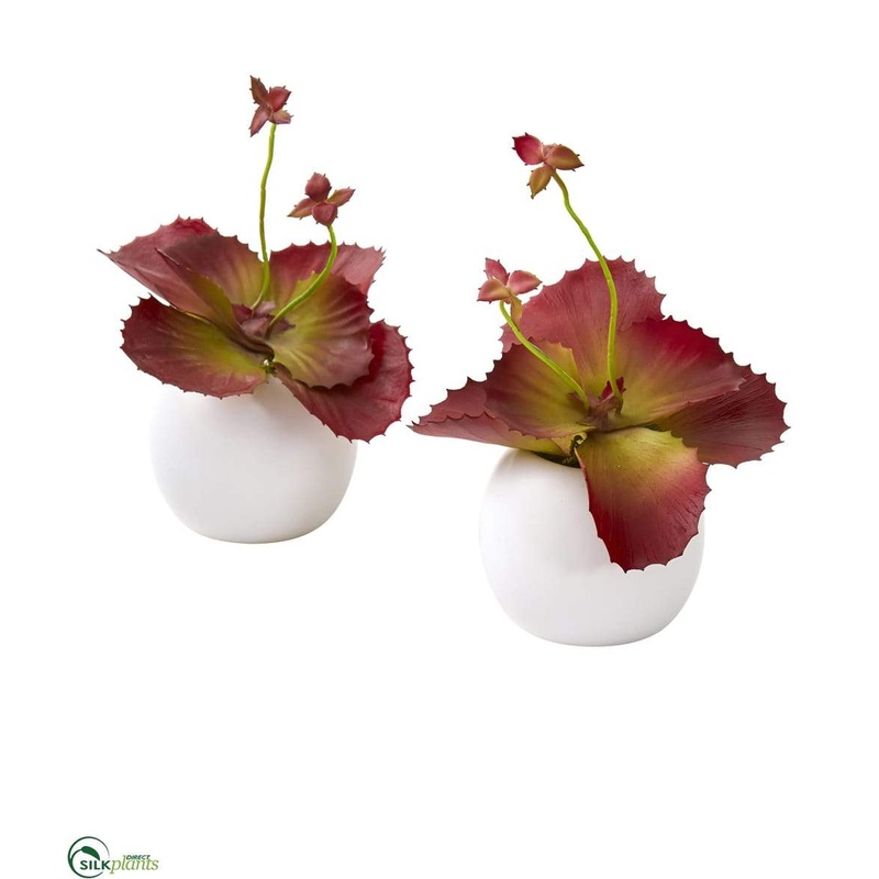 Silk Plants Direct Succulent Artificial Plant in White Planter – White – Pack of 2 White