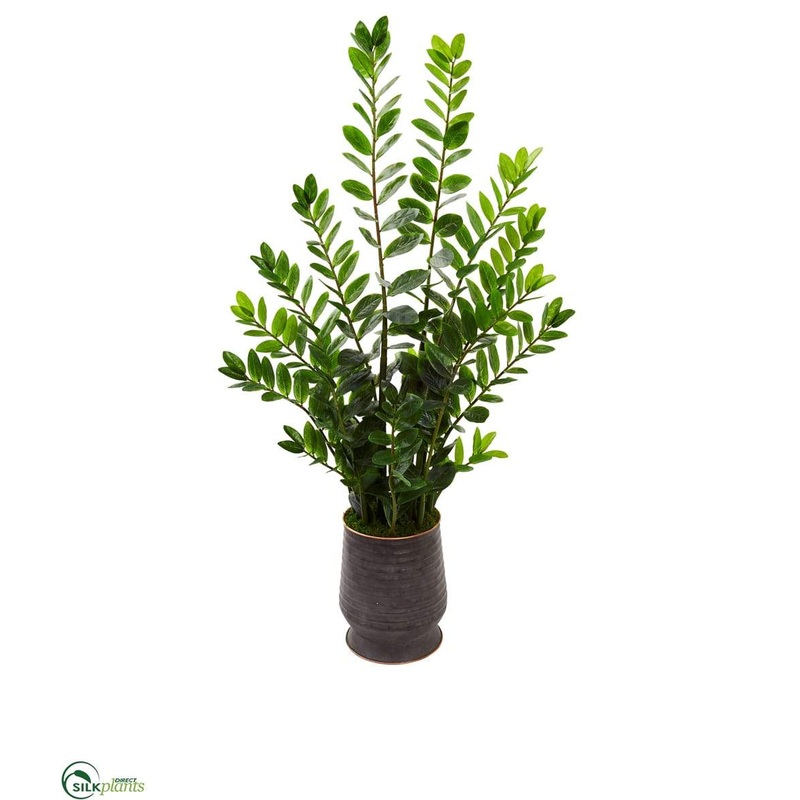 Silk Plants Direct Zamioculcas Artificial Plant – Pack of 1 Default Title