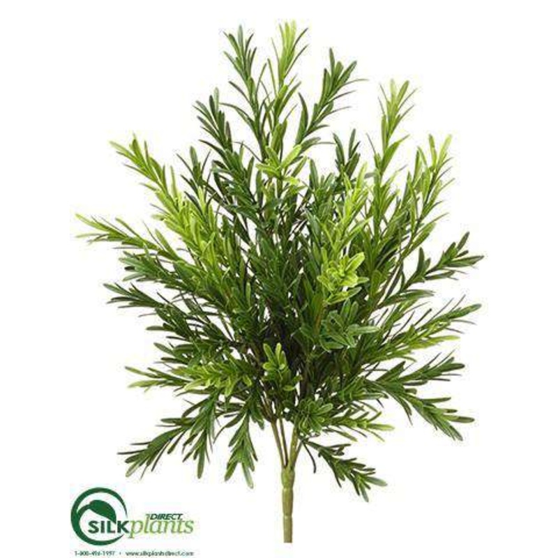 Silk Plants Direct Apios Bush – Green – Pack of 24 Green