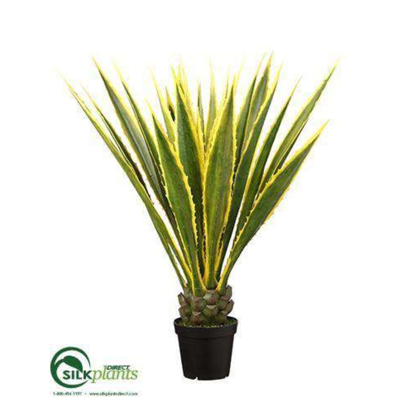 Silk Plants Direct Agave Plant – Variegated – Pack of 2 Variegated