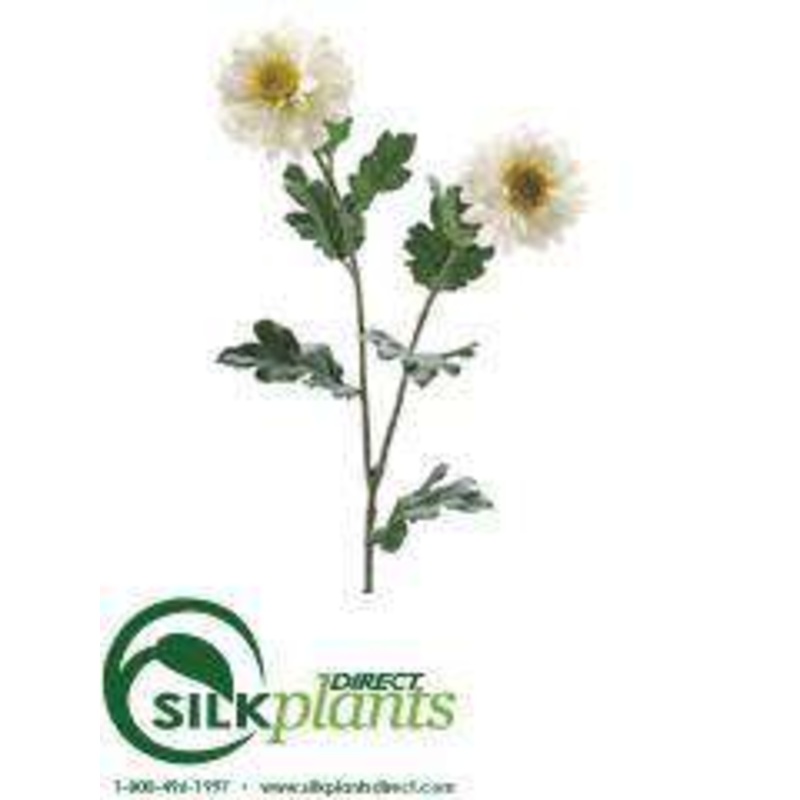 Silk Plants Direct Zinnia Mum Spray – White – Pack of 12