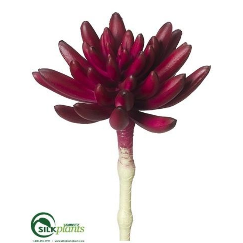 Silk Plants Direct Aeonium Pick – Burgundy – Pack of 24 Burgundy