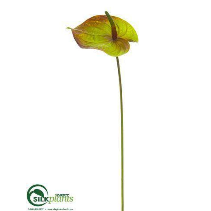 Silk Plants Direct Anthurium Spray – Green Mauve – Pack of 12 Green Mauve