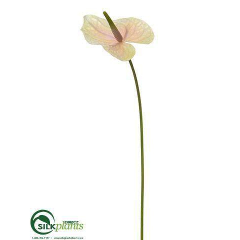 Silk Plants Direct Anthurium Spray – Pink Soft – Pack of 12 Pink Soft